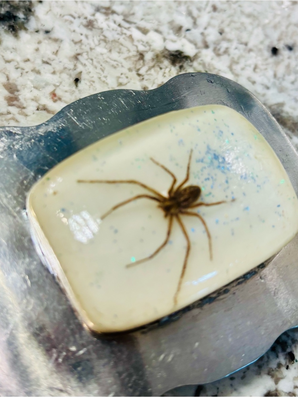 Spider belt buckle